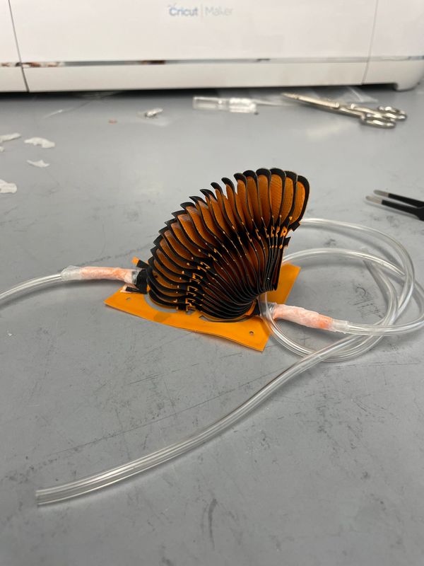 A flexible, segmented orange and black device with attached clear tubing on a lab table.