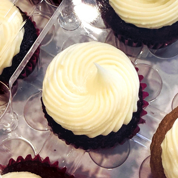 Close-up of chocolate cupcakes with creamy white swirl frosting.