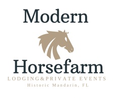 Modern horse farm 