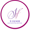 Sigma Intelligence and Talent Hub
