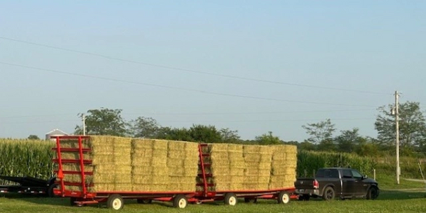 Bringing the hay to the barn.