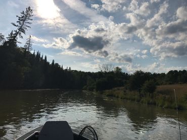 perfect spot to fish