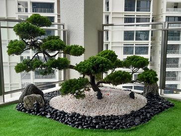 Juniperus Balcony Landscape Design