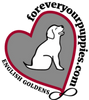 Forever Your Puppies