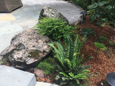image10