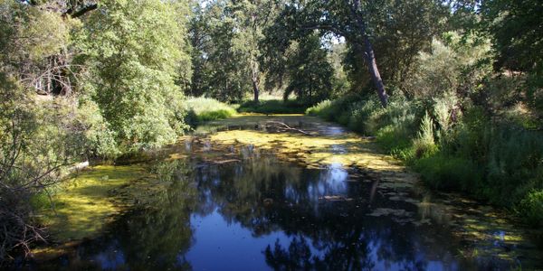 Sometimes we find the most romantic locations in the ugliest parts of the country. Perception is key.