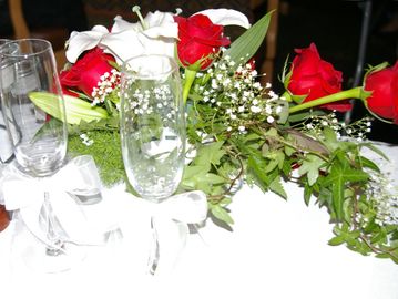 Love lives around all of us. Elegant Wedding Photographer, Kristy Urain. 775-629-2424