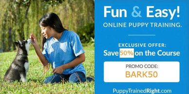 Online Puppy Training www.puppytrainedright.com