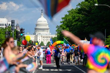 Crowd celebrating near the U.S. Capitol on a sunny day.