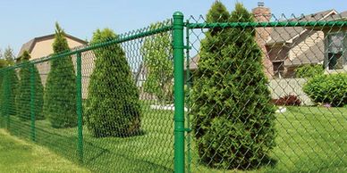 Green chain-link fence enclosing a well-maintained lawn with conical shrubs.