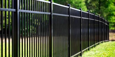 A long black metal fence bordering green grass and trees.