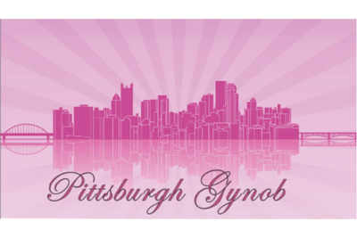 I built Pittsburgh in Cities: Skylines : r/pittsburgh