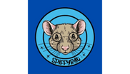 Spiffy Rat Photography