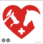 Vintage Veterinary Practice