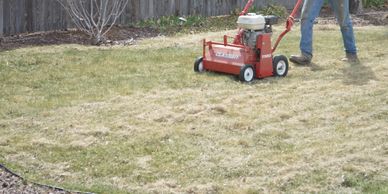 Dethatching