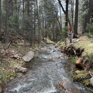 A person fishing by a forest stream wearing a red hat.