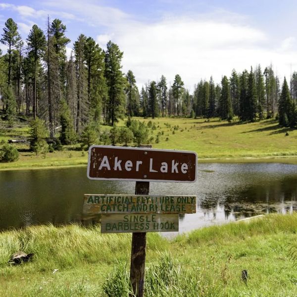 Sign for Aker Lake with fishing rules by a peaceful lakeside surrounded by trees.