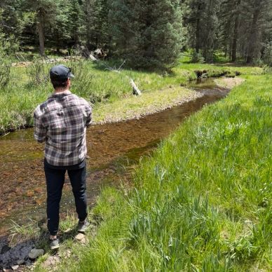 A person fishing by a clear forest stream on a sunny day.
