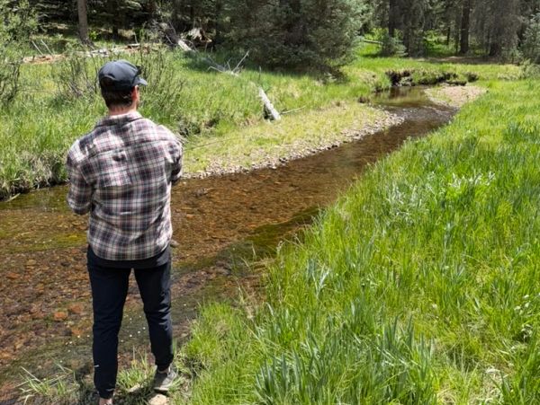 Person fishing by a serene forest creek on a sunny day.