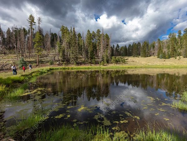 A serene pond reflecting cloudy skies near a forest with people walking by.