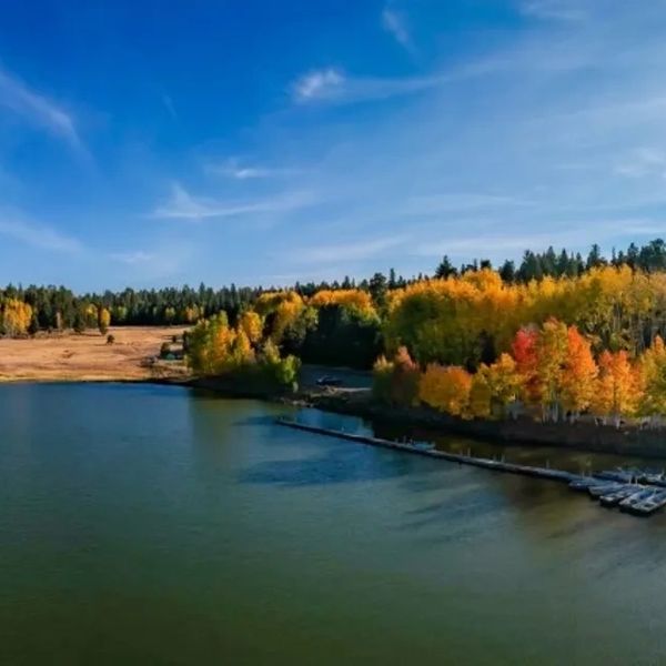 A sunny lakeside with colorful autumn trees and boats docked at the pier.