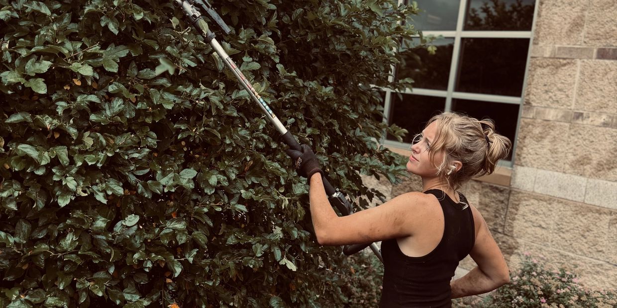 Woman trimming tall bushes with a pole saw.
