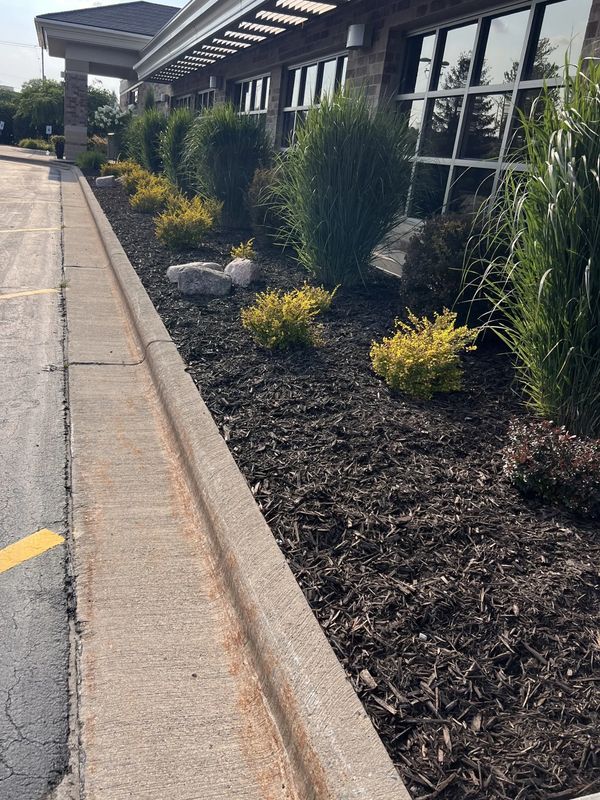 Landscaped area with plants and mulch beside a building and road.
