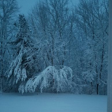 Cold looking snowy scene in late evening