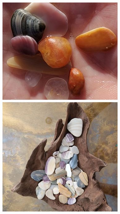 Photo collage with a handful of wet shell fragments and rocks, and a driftwood bowl holding many mor