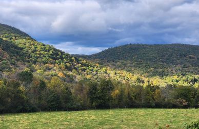 Sunlight dappled hillsides in a nearby  town