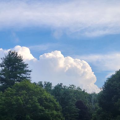 White cumulus cloud hovering above a forest