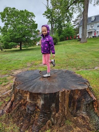 Granddaughter balancing on a big stump