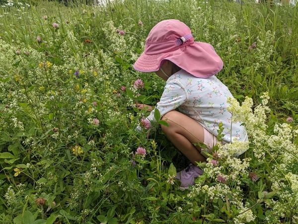 Granddaughter kneeling in a patch of wildflowers