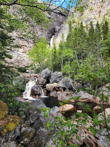 beautiful waterfalls, mountain creek, and forest in Newfoundland