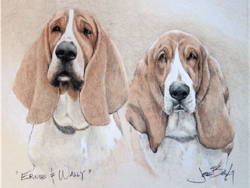 Animal Commissions by artist Joe Belt. Colored pencil drawing of a Ernie & Wally.