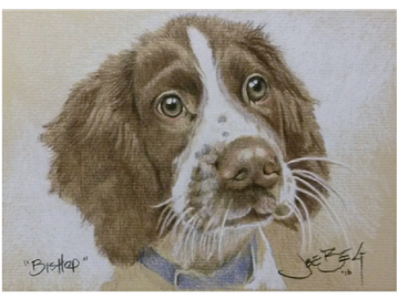 Animal Commissions by artist Joe Belt. Colored pencil drawing of Bishop.