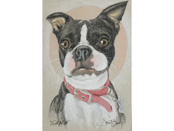 Animal Commissions by artist Joe Belt. Colored pencil drawing of Gracie.