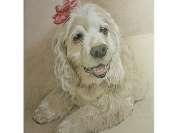 Animal Commissions by artist Joe Belt. Colored pencil drawing of a dog.