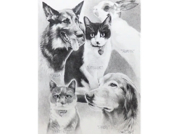 Animal Commissions by artist Joe Belt. Pencil drawing of Bella, Little Cat, Daisy, Thumper and Kitty