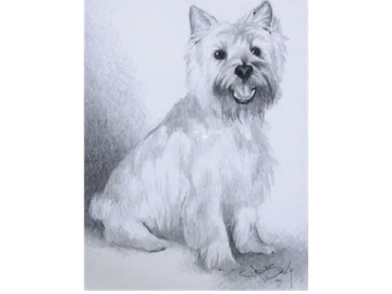 Animal Commissions by artist Joe Belt. Pencil drawing of a dog