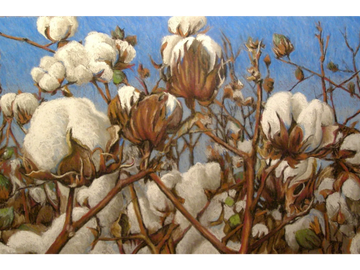 Rural, Cotton, Harvest Time, pastel art print by Joe Belt 