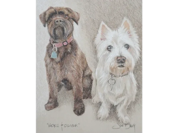 Animal Commissions by artist Joe Belt. Colored pencil drawing of Hoki & Oliver.