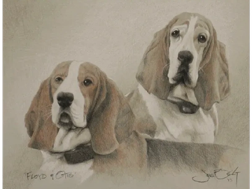 Animal Commissions by artist Joe Belt. Pencil drawing of Floyd & Otis.