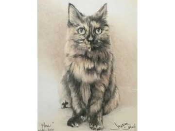 Animal Commissions by artist Joe Belt. Colored pencil drawing of Holli the cat.