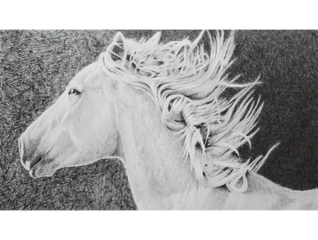Wildlife, Wildfire horse print by Joe Belt 