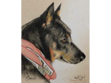 Animal Commissions by artist Joe Belt. Colored pencil drawing of Sheila.