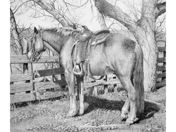 Western scene with horse