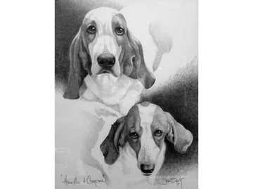 Animal Commissions by artist Joe Belt. Pencil drawing of Hoochie & Cooper.