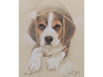 Animal Commissions by artist Joe Belt. Colored pencil drawing of Miller.