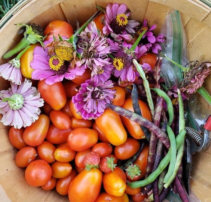 Gardening - I go to the garden